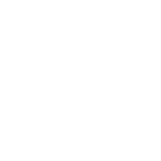 SKILLS21-white